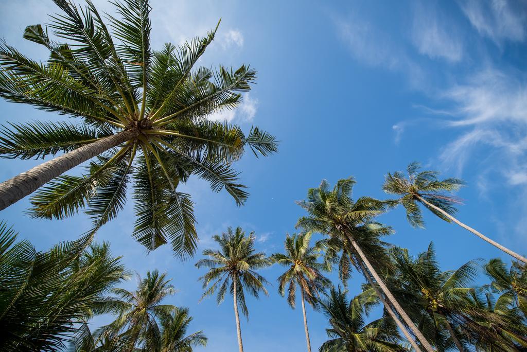 Seavana Koh Mak Beach Resort Екстериор снимка
